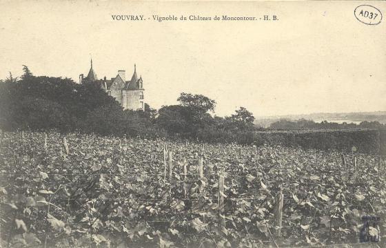 Vignobles du château de Moncontour