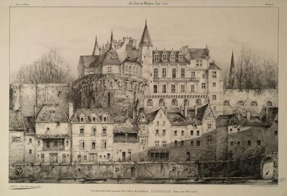 Vue générale d'une portion de la ville et du château d'Amboise