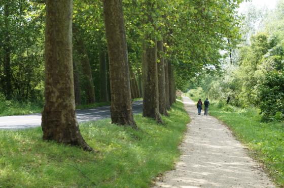 La route de Pont-de-Ruan