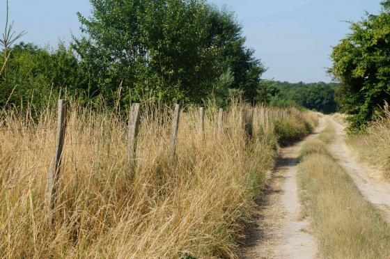 Sentier de randonnée