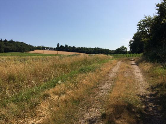 Sentier de randonnée