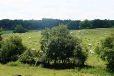 La vallée de l'Indre