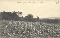 Vouvray - château de Moncontour 4