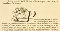[Félix méditant sous un arbre]
